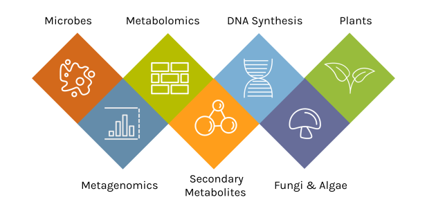 a graphic listing the JGI science programs