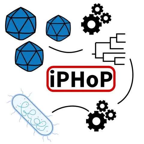 Illustrated graphic of viruses and phylogenetic trees for iPHoP.