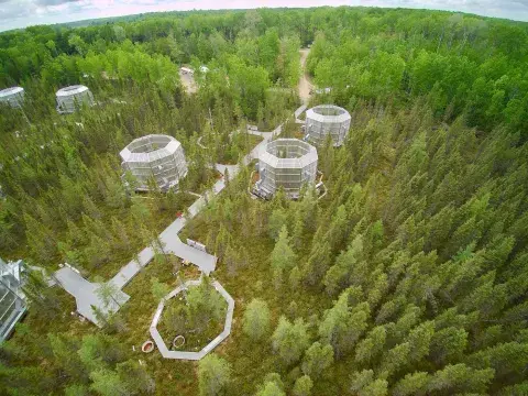 A laboratory in a forest