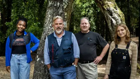 Four individuals stand in front of a tree