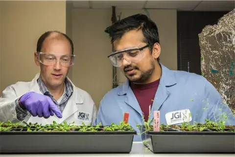 two people in lab gear looking at plants