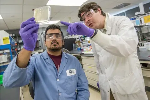 two people in lab gear holding up a rectangle to the light and pointing at it