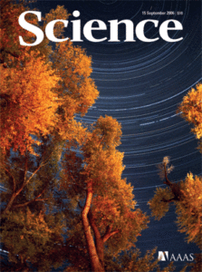poplar on Science 2006 cover
