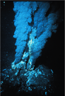 Black smoker at a mid-ocean ridge hydrothermal vent.  (Image by P. Rona/OAR/National Undersea Research Program (NURP); NOAA)