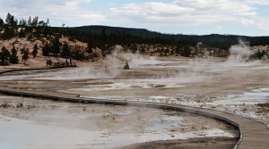 Researchers studied microbial mat metagenomes from Yellowstone’s Norris Geyser Plain. Creative Commons Attribution-Share Alike 2.0 Generic License by InSapphoWeTrust 