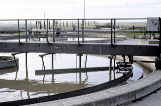Sludge is collected at the bottom of settling tanks at a wastewater treatment plant. (Wikimedia Commons)