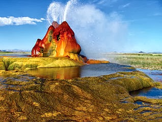 Cyanobacteria are responsible for the vibrant colors of Fly Geyser, located in the Black Rock Desert, Nevada.  Image by Jeremy C. Munns, via Wikimedia Commons