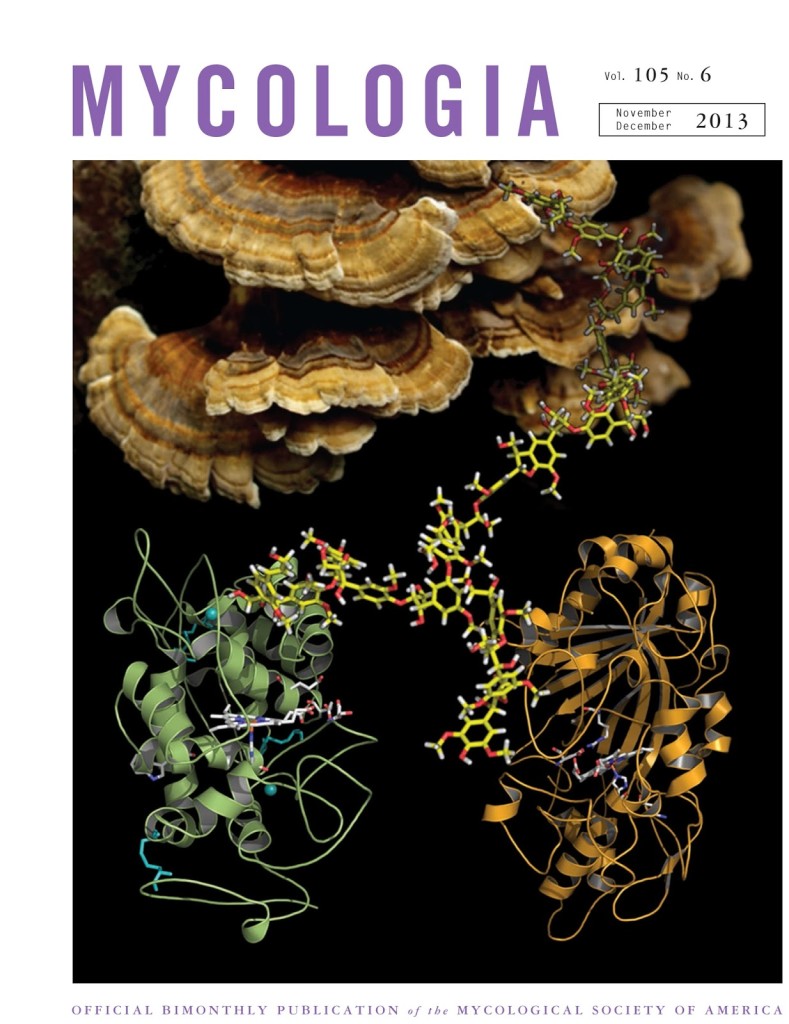 Mycologia Polyporales cover