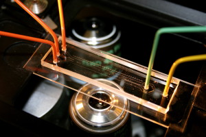 Microfluidic channel