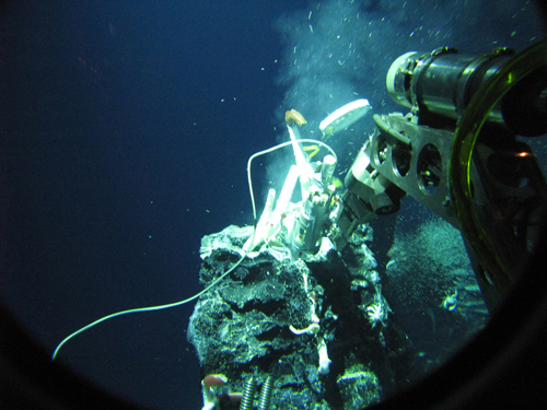 Photo: Crab Spa is a diffuse-flow hydrothermal vent site on the East Pacific Rise and one of the nine sampling sites for this study. (Photo courtesy of Stefan Sievert, Woods Hole Oceanographic Institution)