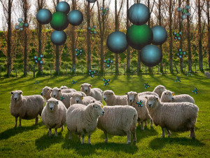 sheep in field with methane molecules