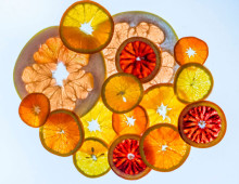 citrus fruit slices on a lightbox