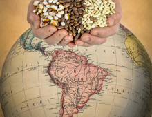 handful of beans over South America on a globe