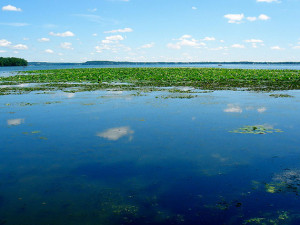 Lake Mendota via Flickr 