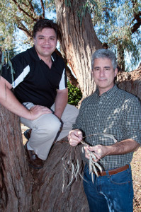 Zander Myburg and Jerry Tuskan in eucalyptus tree