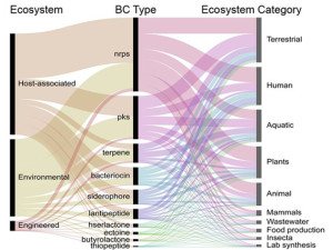 A chart of ecosystem sources for the 10 most common biosynthetic cluster enzymatic types. Generating these data in the IMG-ABC database is made possible by the integration of the portal with the IMG and GOLD databases, which allow access to metadata annotations. (Credit: Hadjithomas M et al. mBio Jul 2015)
