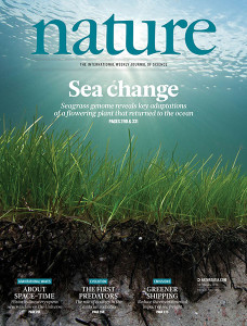 Zostera marina 021816 Nature cover