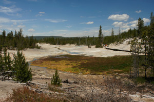 Researchers worked with samples extracted from Norris Geyser Basin at Yellowstone National Park. (Tjflex2, CC BY-NC-NC-2.0)