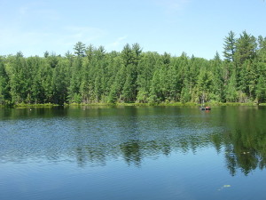 Trout Bog Lake WI by emoody Wikimedia Commons