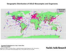 This graphic depicts the geographic distribution of GOLD biosamples and organisms. Organism location of isolation is marked in pink while Biosample location of collection is denoted with blue dots. Updates to the Genomes OnLine Database (GOLD) are reported in the upcoming Database issue of Nucleic Acids Research. (Image from Supratim Mukherjee et al. Nucl. Acids Res. 2016;nar.gkw992)