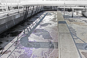 Bubbling nitrifying activated sludge tank at a wastewater treatment plant in Klosterneuburg, Austria. This was the source of the sludge samples used for microcolony sorting. (Marton Palatinszky)