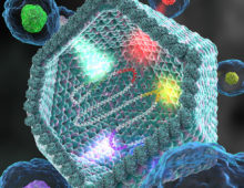 Giant virus acquiring genes from different eukaryotic host cells. (Ella Maru studio, http://www.scientific-illustrations.com/)