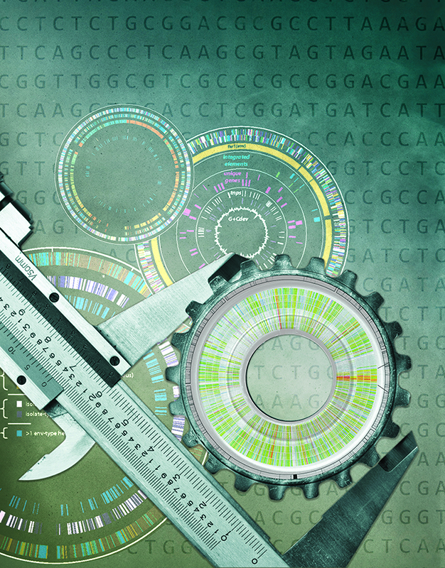 The importance of standards is dramatically illustrated when they don’t exist or are not commonly accepted. an international team led by DOE JGI researchers has developed standards for the minimum metadata to be supplied with single amplified genomes (SAGs) and metagenome-assembled genomes (MAGs) submitted to public databases. (Zosia Rostomian, Berkeley Lab Creative Services)
