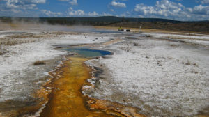 Samples used to demonstrate the efficacy of the new technology were taken from hot springs at Yellowstone National Park. (Image by Paul Blainey, Christina Mork and Geoffrey Schiebinger)