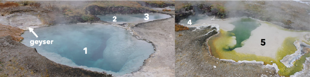 Sampling sites for Roland Hatzenpichler's proposal: five Yellowstone hot springs.