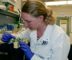 Estelle Schaefer is a postdoc in John Vogel's Plant Functional Genomics group