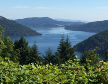 View of Saanich Inlet - one of the areas sampled for this study - from Malahat. (BC Ministry of Transportation, Flickr CC BY-NC-ND 2.0)