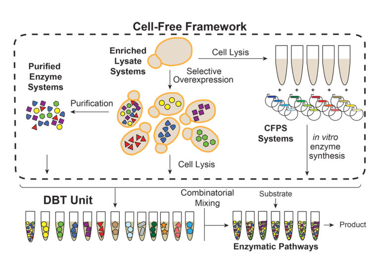 Freedom And Flexibility Thinking Outside The Cell For Functional Genomics Doe Joint Genome