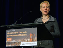Krista McGuire of the University of Oregon at the JGI 13th Annual Genomics of Energy & Environment Meeting. Click on the image to watch her talk, or go to bit.ly/JGI2018McGuire.