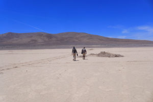 At the Heradura Playa in Atacama Desert of Chile. Alessandro Airo's team is interested in the Atacama's microbial communities. (Courtesy of A. Airo)