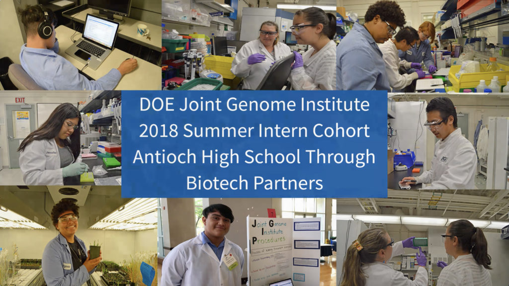 Click here to watch the video and learn more about each of the Biotech Partners interns. (Video shot and edited by JGI Communications & Outreach intern Elise Schiappacasse.)
