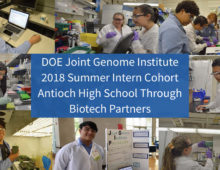 Click here to watch the video and learn more about each of the Biotech Partners interns. (Video shot and edited by JGI Communications & Outreach intern Elise Schiappacasse.)
