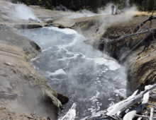: One of the predominant geothermal pools (Temperature 65-70 oC, pH 6.4) located at Washburn Hot Springs (Research Permit YELL-2012-SCI-05068. Image: W. Inskeep).
