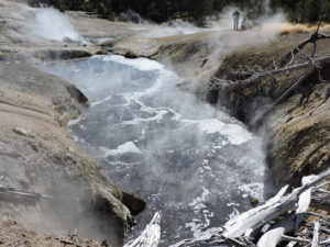 : One of the predominant geothermal pools (Temperature 65-70 oC, pH 6.4) located at Washburn Hot Springs (Research Permit YELL-2012-SCI-05068. Image: W. Inskeep).