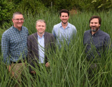 Left to Right: Jerry Jenkins, JGI Plant Program head Jeremy Schmutz, Adam Healey and study senior author Tom Juenger of UT-Austin.