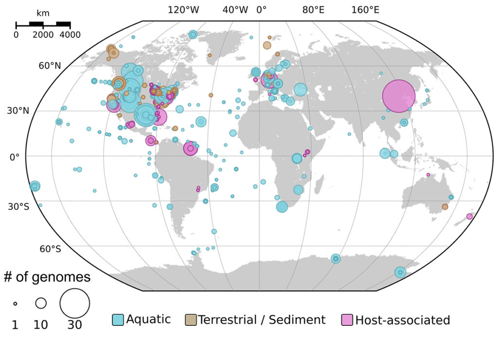 Detection of inoviruses across ecosystems. The map displays the location and type of samples from which new inovirus sequences were identified as part of the global metagenome search. (Simon Roux)