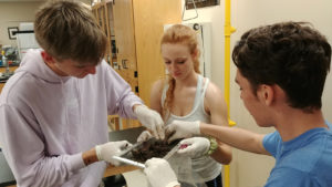 Boca Raton HS students sifting soil samples. (Courtesy of Jon Benskin)