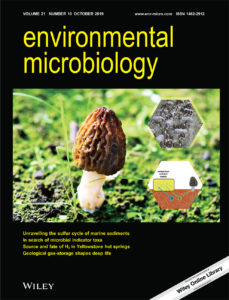 The cover of the October 2019 issue of Environmental Microbiology is an image by Hao Tan depicting the ecophysiological mechanisms driving morel fruiting.