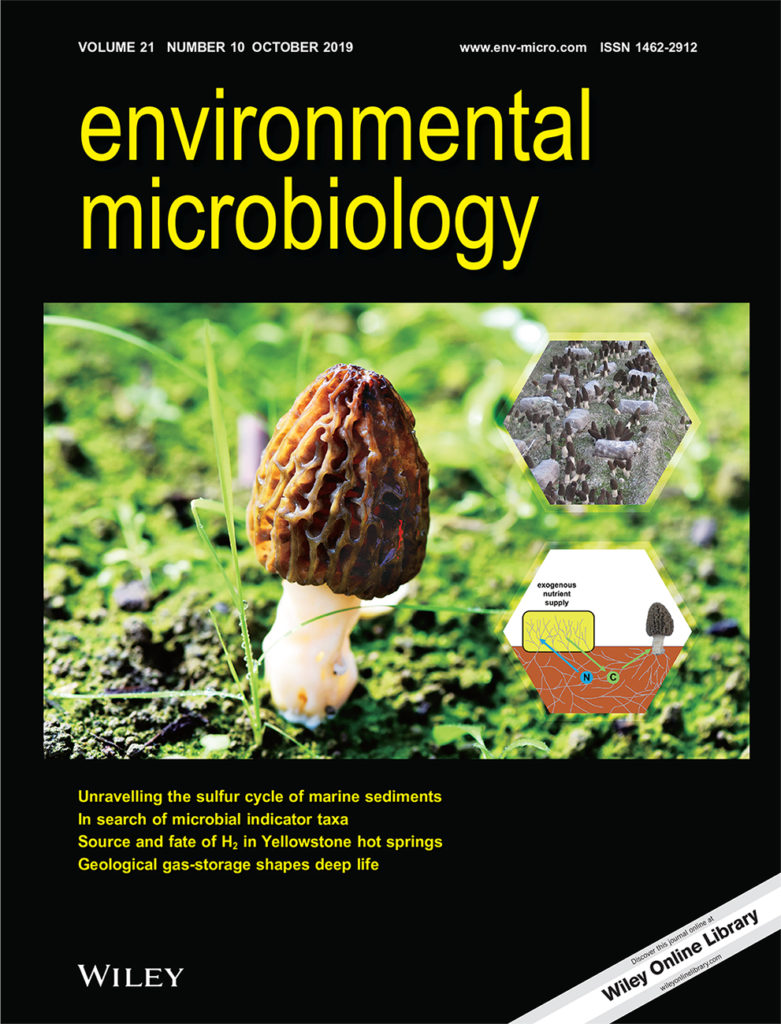 The cover of the October 2019 issue of Environmental Microbiology is an image by Han Tao depicting the ecophysiological mechanisms driving morel fruiting.