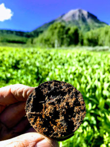 Soil core showing redoximorphic features sampled from watershed zone of high vegetation nitrogen uptake. (Courtesy of Eoin Brodie)
