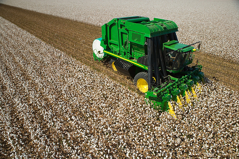 A field of cotton being harvested. (Cotton Inc.)