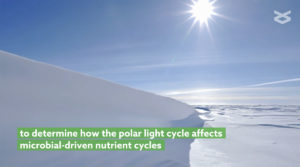 Go here to watch the video, “How microbes of an Antarctic lake have adapted to the polar light cycle” produced for Microbiome. 