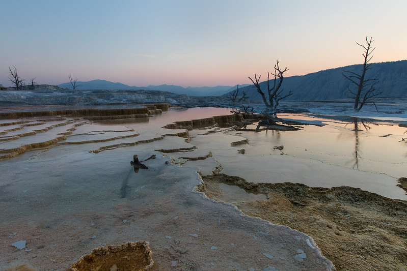 The terraces of Mammoth Hot Springs are made of soft limestone and are constantly changing shape as water flows. Note: this area was not studied by Devaki and her team. (NPS / Neil Herbert)