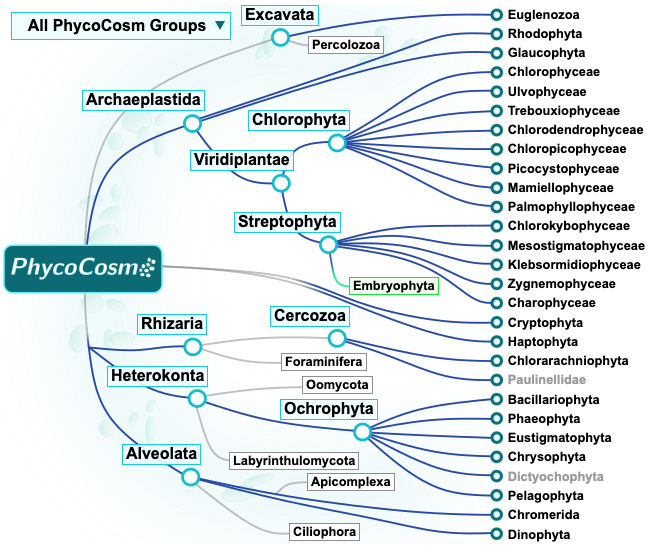 PhycoCosm, the algal genomics resource