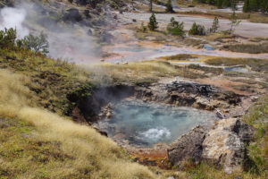 Hot spring in Yellowstone National Parks' Artist Paint Pot area. (Courtesy of Roland Hatzenpichler)