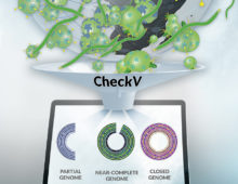 Artistic interpretation of CheckV assessing virus genome sequences from environmental samples. (Rendered by Zosia Rostomian​, Berkeley Lab)